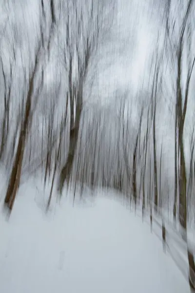 Intentional camera movement (ICM) image of a dream like view of snow covered walking trail in winter created by motion blur, Ruutinkoski Nature Reserve, Helsinki, Finland.