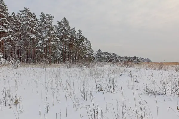 Kışın deniz manzarası, bulutlu havada yerde kar varken, Kallahdenniemi, Helsinki, Finlandiya.