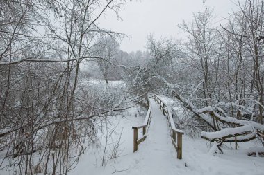 Bulutlu kış havasında yürüyüş yolu, yerde kar, Ruutinkoski Doğa Rezervi, Helsinki, Finlandiya.