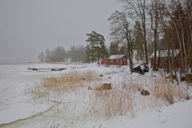 Deniz boğazının kış manzarası, deniz kenarındaki kulübeler, sazlıklar, ağaçlar, bulutlu kış havasında deniz buzu ve su, Pellinki, Finlandiya.