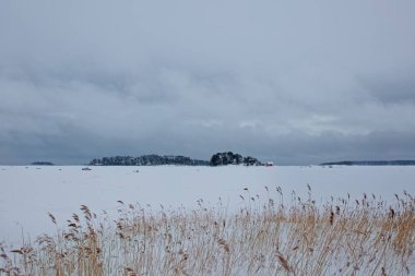 Kışın deniz manzarası, sazlıklar, deniz buzu ve karla kaplı zemin, bulutlu havada arka planda adalar. Kallahdenniemi, Helsinki, Finlandiya.