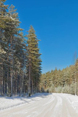 Soğuk kış havasında, Loppi, Finlandiya 'da kar yağdı..