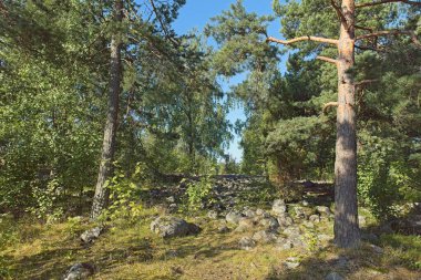 Antik Yoldia Denizi 'nin Rocky plajı yazın Jakomaki' deki tepenin üstünde, Helsinki, Finlandiya.