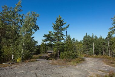 Yazın çıplak noktalı ve ağaçlı kayaların tepesi manzaralı..