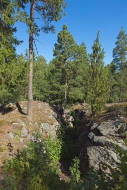 Birinci Dünya Savaşı 'ndan kalma eski kayalık siper Kivikko kalesi, Helsinki, Finlandiya.