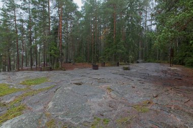 Sonbaharda Sarvikallio, Tuusula, Finlandiya 'da halka açık şömine ve ahşap bank.