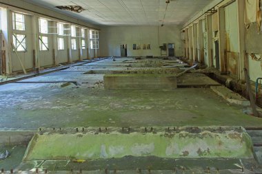 Old abandoned building interior on the island of Jussaro in summer, Raasepori, Finland.