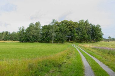 Yazın Offerlund kurban koruma alanına giden çakıl yolu, Raasepori, Finlandiya.