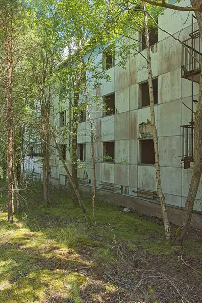 Yazın Jussaro adasında terk edilmiş eski bir bina, Raasepori, Finlandiya.