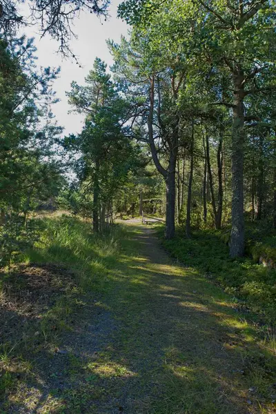 Jussaro adasında yaz mevsiminde, Raasepori, Finlandiya.