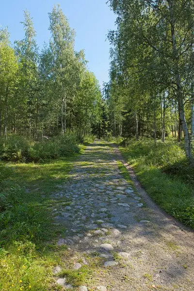 Yazın Slattmossen 'deki (vaha bataklığı) eski kaldırım taşı yolu, Jakomaki, Helsinki, Finlandiya.