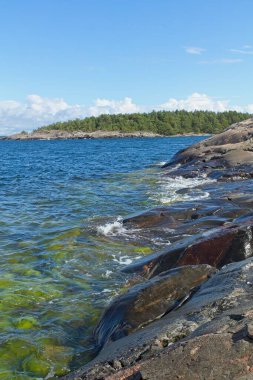 Yazın Jussaro adasında Rocky sahili, Raasepori, Finlandiya.