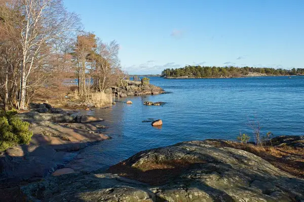 Kışın Kallahdenniemi 'de açık deniz ve çıplak ağaçlarla, Helsinki, Finlandiya.