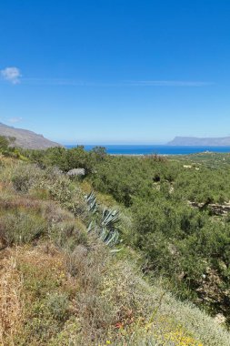 İlkbaharda Gramvousa 'da manzara manzarası, Girit, Yunanistan.
