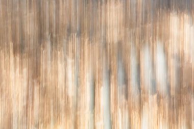 Terk edilmiş bina, Paijanne, Finlandiya 'daki tahta duvarın kasıtlı kamera hareketi (ICM).