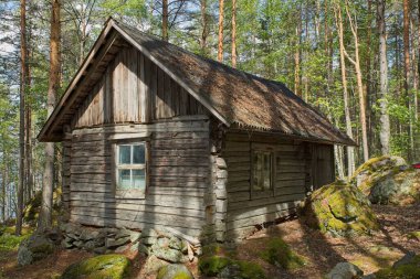 Ormanda terk edilmiş ahşap kulübe..