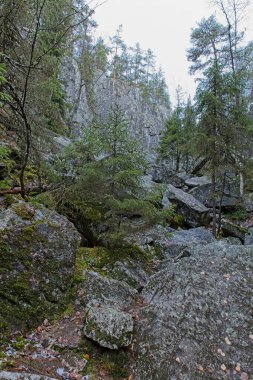 Pirunpesa (Devils Nest), Tiirasmaa Doğa Koruma Alanı, Hollola, Finlandiya 'daki kuvars kayalarını kesen bir vadidir..
