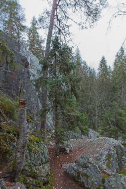 Pirunpes (Devils Nest), Tiirasmaa Doğa Koruma Alanı, Hollola, Finlandiya 'daki kuvars kayalarını kesen bir vadidir..