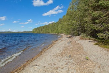 Yazın kumsal kıyısı, yazın Paijanne Ulusal Parkı, Finlandiya.