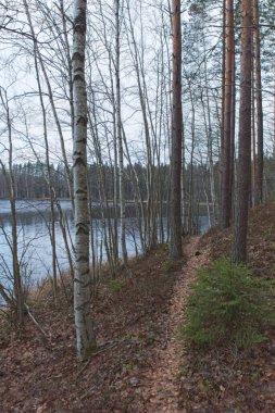 Ormanda gölün yanında yapraksız ağaçlarla bulutlu sonbahar havasında patika..