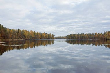 Ormanlı ve bulutlu Fisktrask gölünün sonbaharda su yüzeyine yansıyan görüntüsü, Sipoo, Finlandiya.