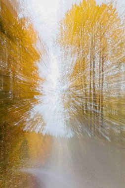 ICM Intentional camera movement with long exposure of colorful trees and road with leaves on the ground in autumn. clipart