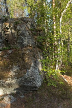 Paimenten kirkko (Çobanların Kilisesi), Finlandiya 'nın Nummi-Pusula şehrinde sonbaharda Lintukiimanvuori zirvesi ve Lamminjrvi Gölü yakınlarında yer alan manzaralı bir mağara..