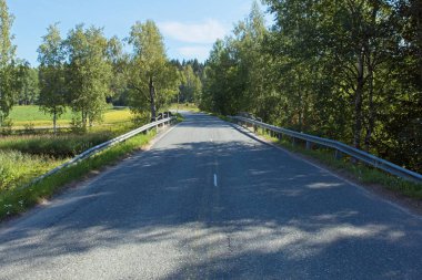 Yazın Hakoistentie Yolu, Janakkala, Finlandiya.