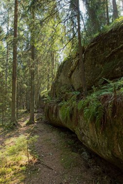 Yazın kaya oluşumu, Sipoo Ulusal Parkı, Finlandiya.