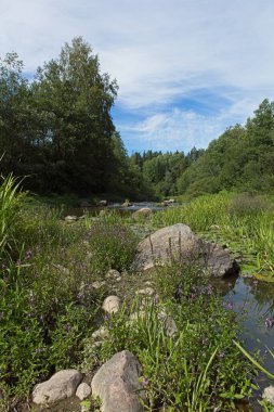 Yazın kayalar, ağaçlar ve yapraklarla Vantaanjoki nehrinin manzarası, Myllykoski, Nurmijarvi, Finlandiya.