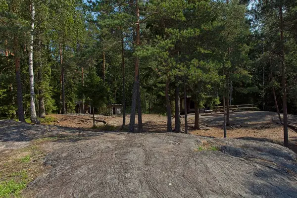 Yazın manzara manzarası, Sipoo Ulusal Parkı, Finlandiya.