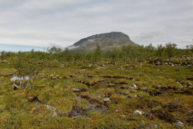 Saana manzarası bulutlu yaz havasında, Kilpisjrvi, Lapland, Finlandiya.