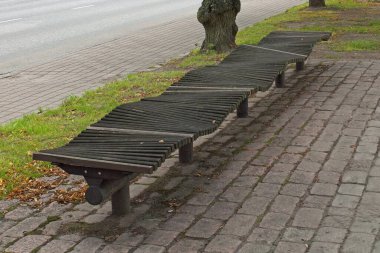 Yazın modern dekoratif park bankı ve taş patika.