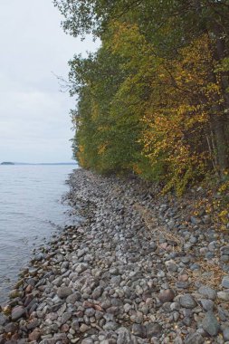 Bulutlu sonbahar havasında Rocky gölü kıyısı.