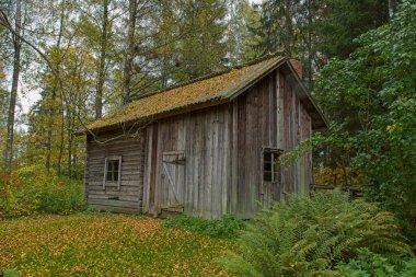 Geleneksel olarak sonbahar havasında ahşap bina..