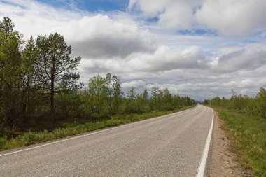 Yazın Kilpisjarvi, Enontekio, Lapland, Finlandiya 'da E8 yol manzarası.