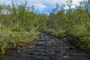Bulutlu yaz havasında Siilaskoski akıntısı, Kilpijrvi, Enonteki, Lapland, Finlandiya.