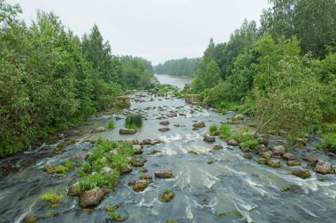 Bulutlu yaz mevsiminde Koskenkylnjoki nehrinde akıntıda taş ve bitkiler, Koskenkyl, Finlandiya.