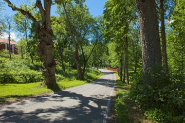 Fagervik müze yolu yazın ağaçlarla çevrili, Fagervik, Finlandiya.
