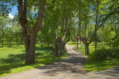 Güneşli bir yaz gününde kavisli ve köprülü çakıl yolu.