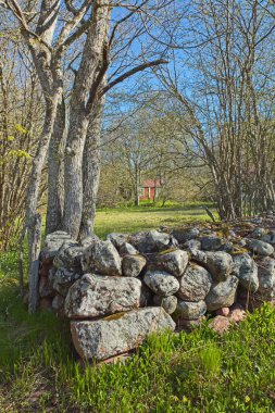 Baharda çimenleri ve ağaçları olan eski taş çitler..