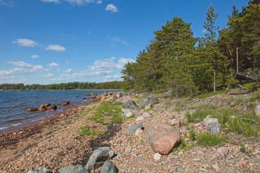 Güneşli yaz mevsiminde gökyüzünde bulutlar, Hanko, Finlandiya.