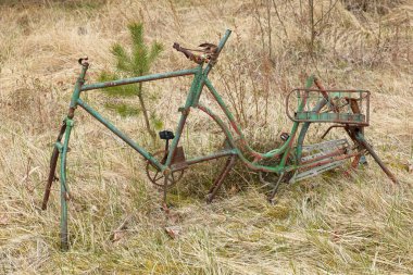 Baharda doğada yıpranmış bisiklet iskeleti.