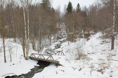Baharda derenin üzerindeki eski ahşap köprü.