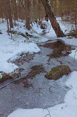 Kışın Meiko Doğa Rezervi, Kirkkonummi, Finlandiya 'da yerde karla birlikte donmuş akarsu.