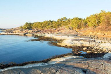 Sonbaharda açık gökyüzü olan Rocky kıyı manzarası, Porkkala, Kirkkonummi, Finlandiya.