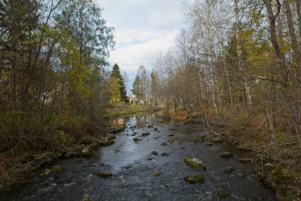 Yukarı Nukarinkoski, sonbaharda Vantaajoki, Nukari, Nurmijrvi, Finlandiya ve Finlandiya nehirlerinde yapraklarla birlikte akın eder..