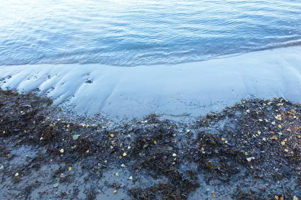 Sonbaharda Sandy deniz kıyısı manzarası, Porkkala, Kirkkonummi, Finlandiya.