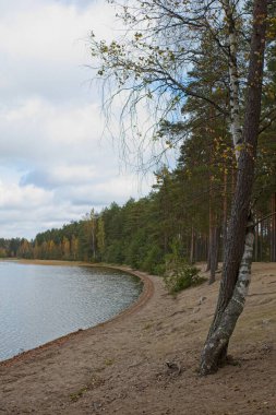 Göl kıyısında sonbaharda bulutlu bir gökyüzü olan Ruostejrvi Gölü, Liesjrvi Ulusal Parkı, Tammela, Finlandiya.