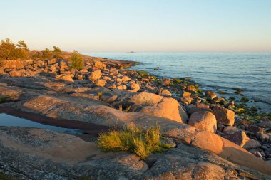 Rosky kıyıları sonbaharda gün batımında Torra Lovo adasında, Espoo, Finlandiya.
